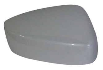 HOUSING(R), DR MIRROR